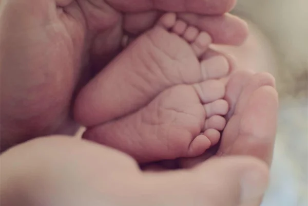 NEONATAL & PEDIATRIC CRITICAL CARE